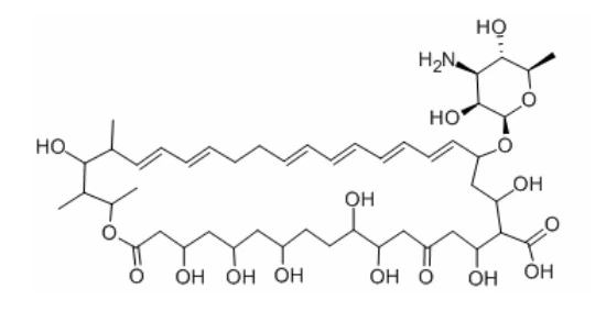 Nystatin Is An Antifungal Agent